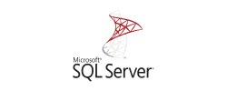 Microsoft SQL Server Logo